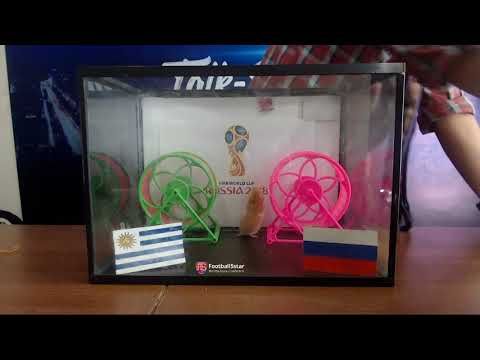 Prediksi Uruguay vs Rusia di Piala Dunia 2018 bersama PO si Hamster