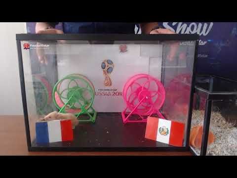 Prediksi France vs Peru with PO