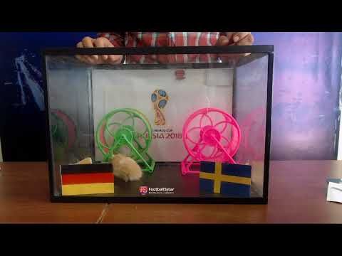 Prediksi Jerman vs Swedia di Piala Dunia 2018 bersama PO si Hamster