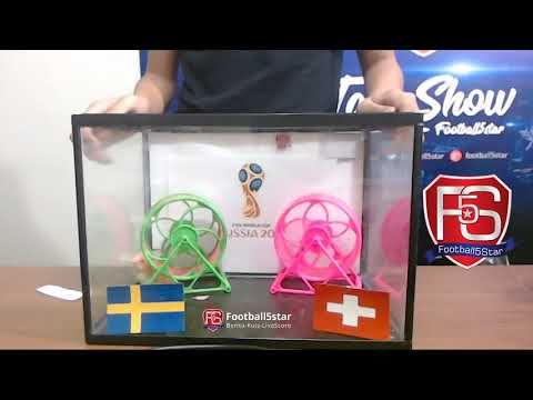 Prediksi Swedia vs Swiss bersama PO si Hamster