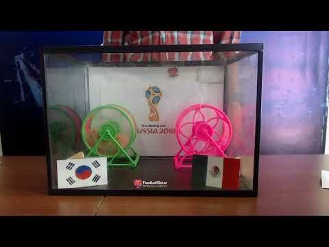 Prediksi Korea  Selatan vs Meksiko di Piala Dunia 2018 bersama PO si Hamster