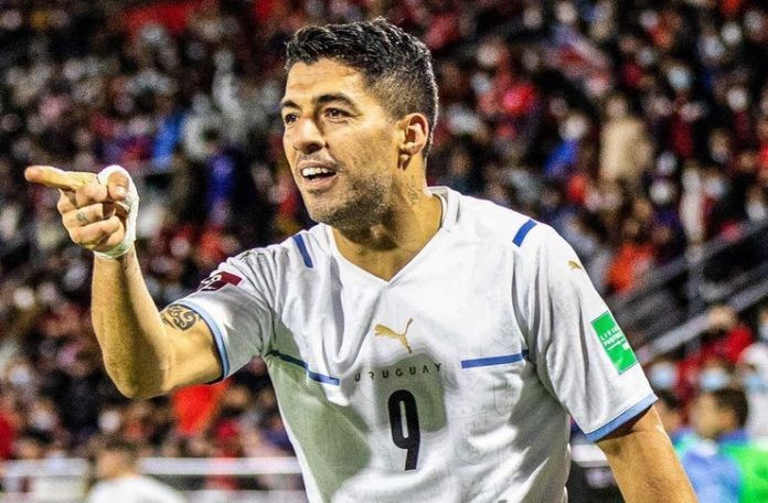 Luis Suarez - Rodrigo Bentancur - Timnas Uruguay - @aufoficial