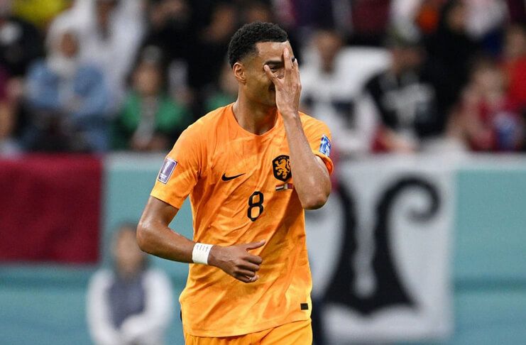 Belanda vs Qatar Cody Gakpo Tak Bisa Berhenti Cetak Gol 2 (@If2is)