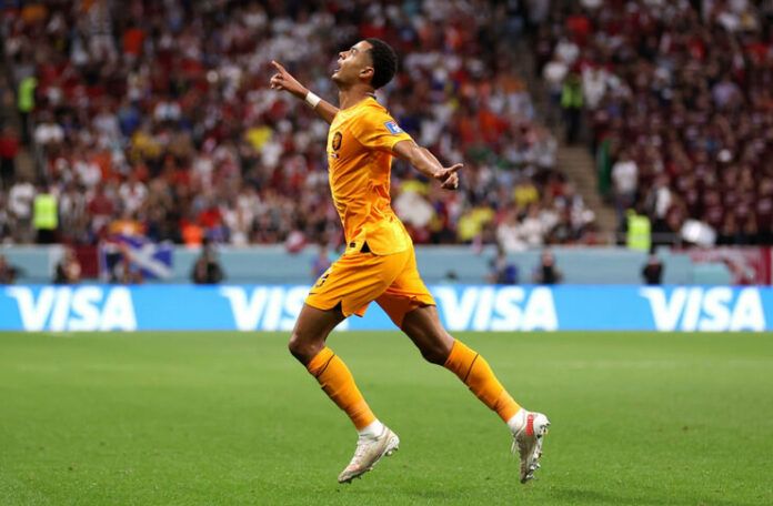 Belanda vs Qatar Cody Gakpo Tak Bisa Berhenti Cetak Gol (@If2is)