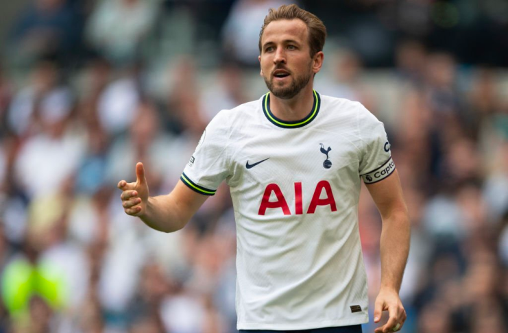 Harry Kane - Tottenham Hotspur - Dimitar Berbatov - Getty Images 2